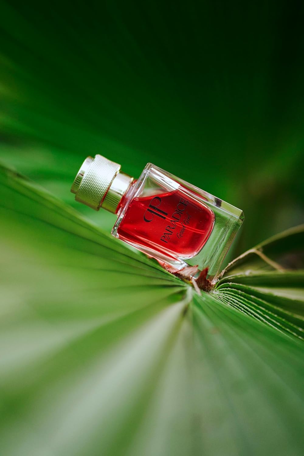 Good Girl – Fruity Choco Vanilla Sweet Perfume for Women (50ml)