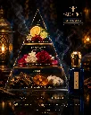 shanaya Notes  .webp